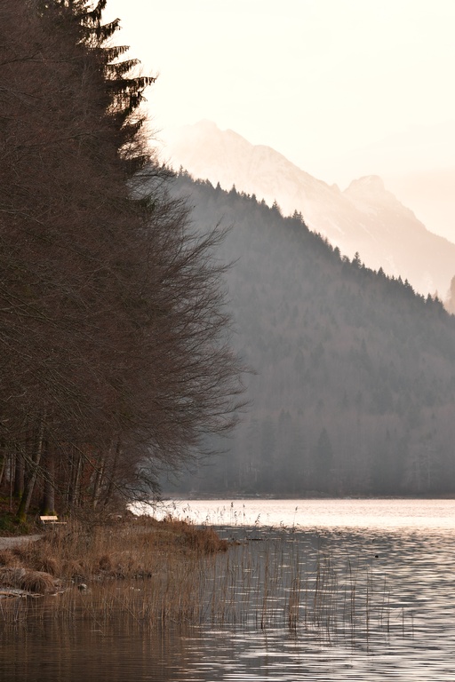 2018-12-29 Hohenschwangau/DSC_8766.JPG